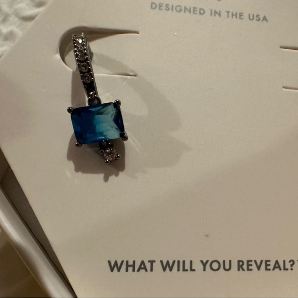 Elegant Blue and Silver Earrings - Picture 3 of 4